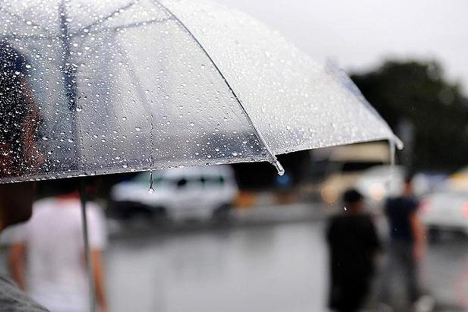 Hava Durumu Uyarısı: Sağanak, Çığ ve Kar Erimesi Tehlikesi Türkiye'yi Bekliyor