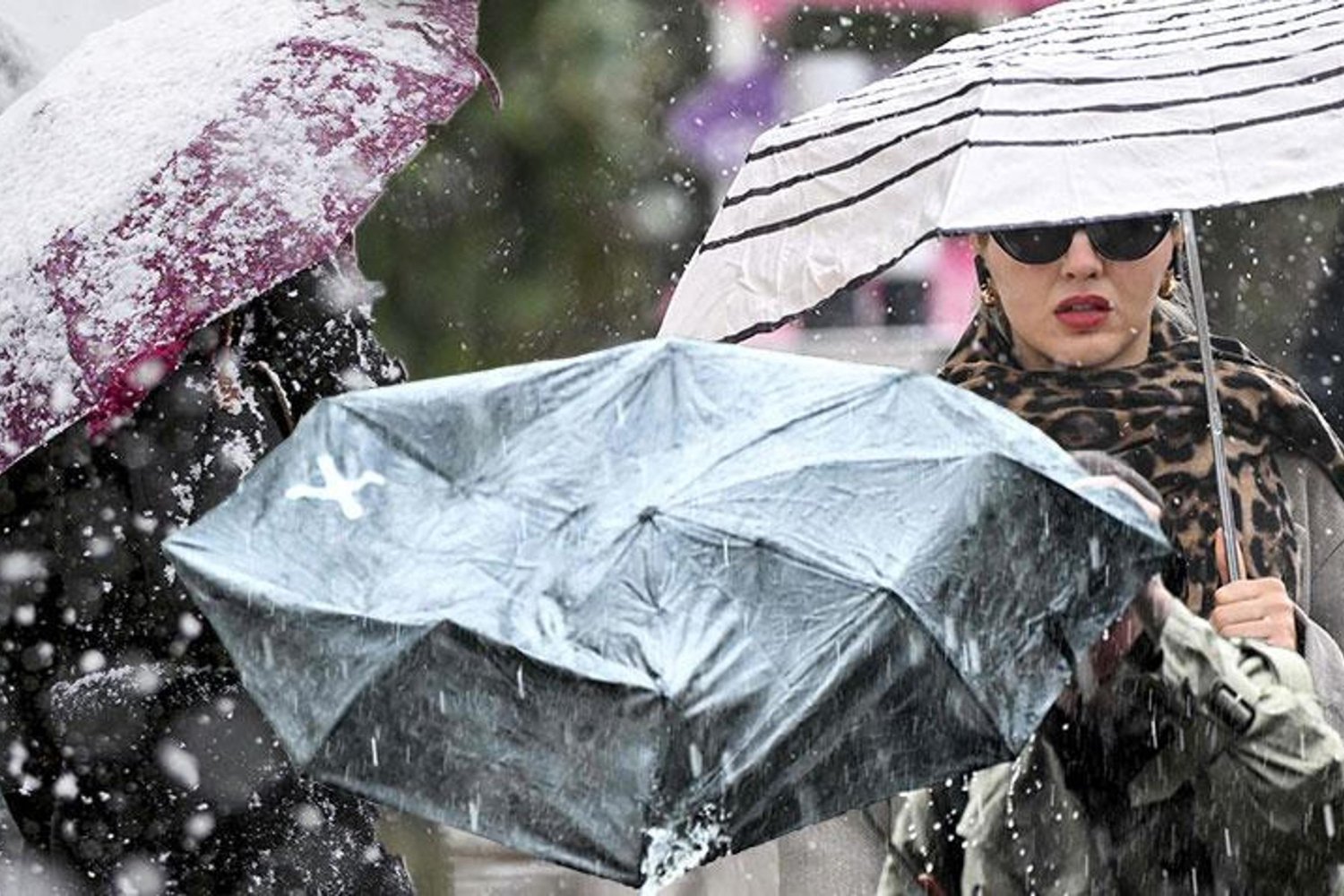 Meteoroloji Uyarısı: Bahar Ayında Kuvvetli Yağış ve Çığ Tehlikesi Uyarısı