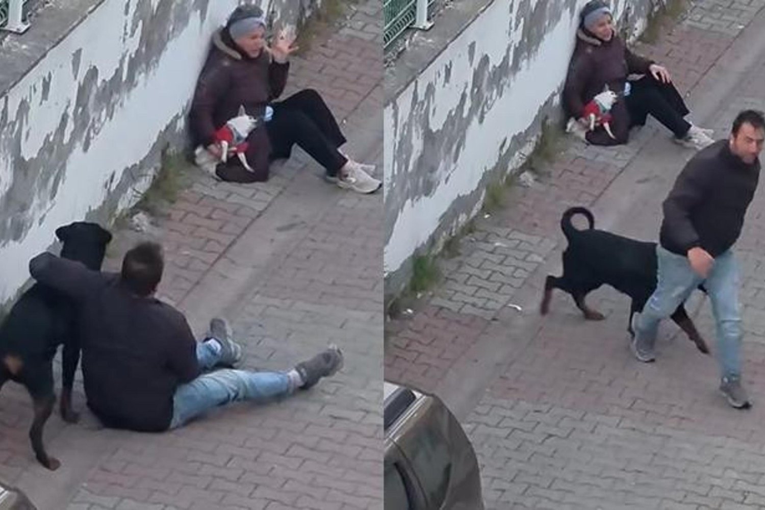 Köpek Saldırısı: Rottweiler Sahibinin Gözaltında Olduğu Olayın Detayları