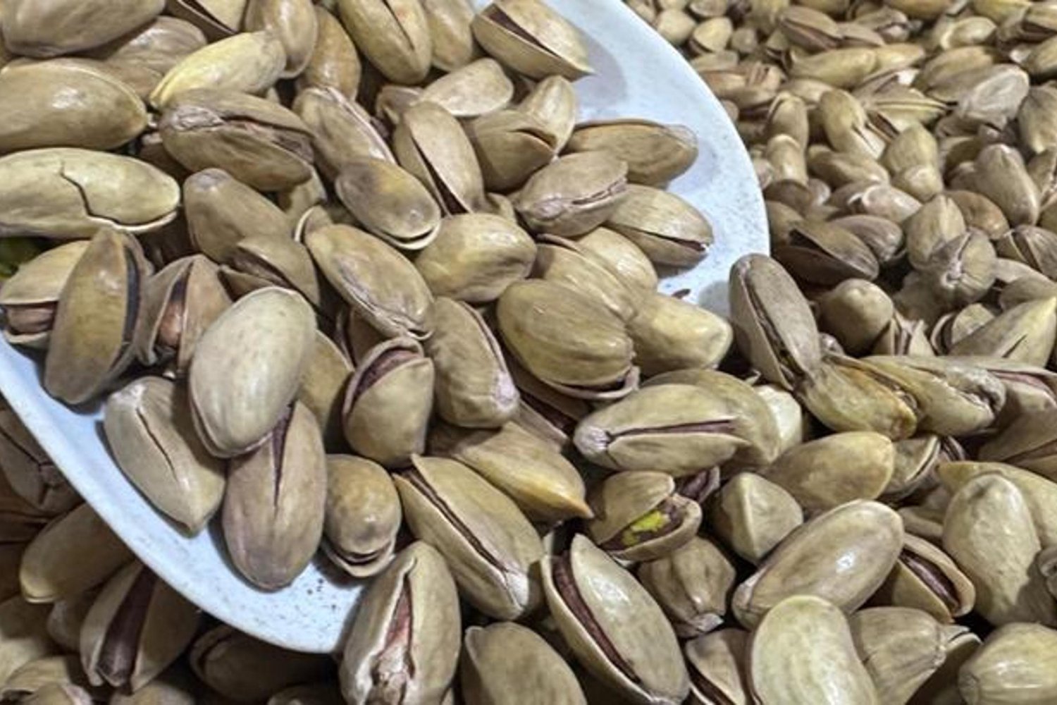 Fıstık ihracatında rekor artış: 2025'te 94 ülkeye 178 milyon dolar kazanç