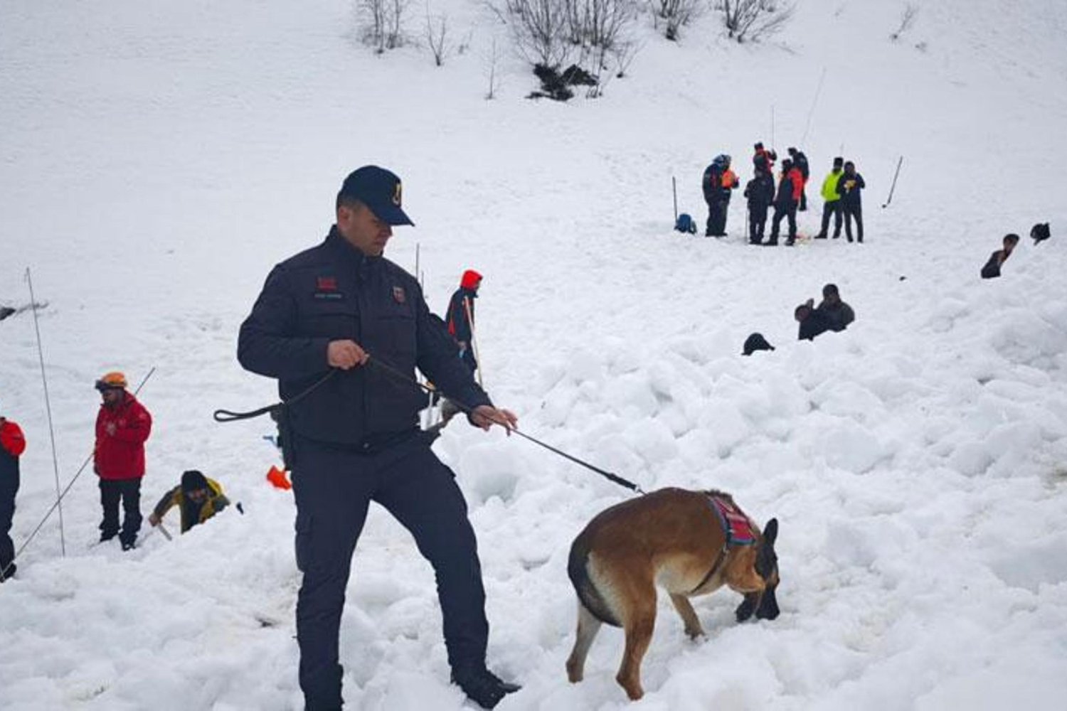 Erzurum Çığ Felaketi: 3 Çoban Hayatını Kaybetti, 1 Kayıp Aranıyor