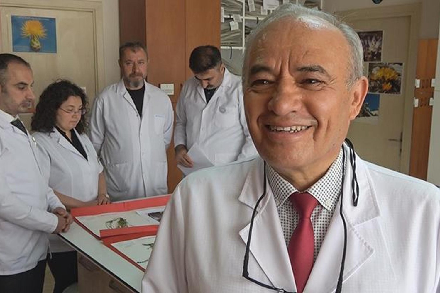Türkiye'nin Bilim Dünyasına Katkısı: 4 Yeni Kayagülü Türü Keşfedildi