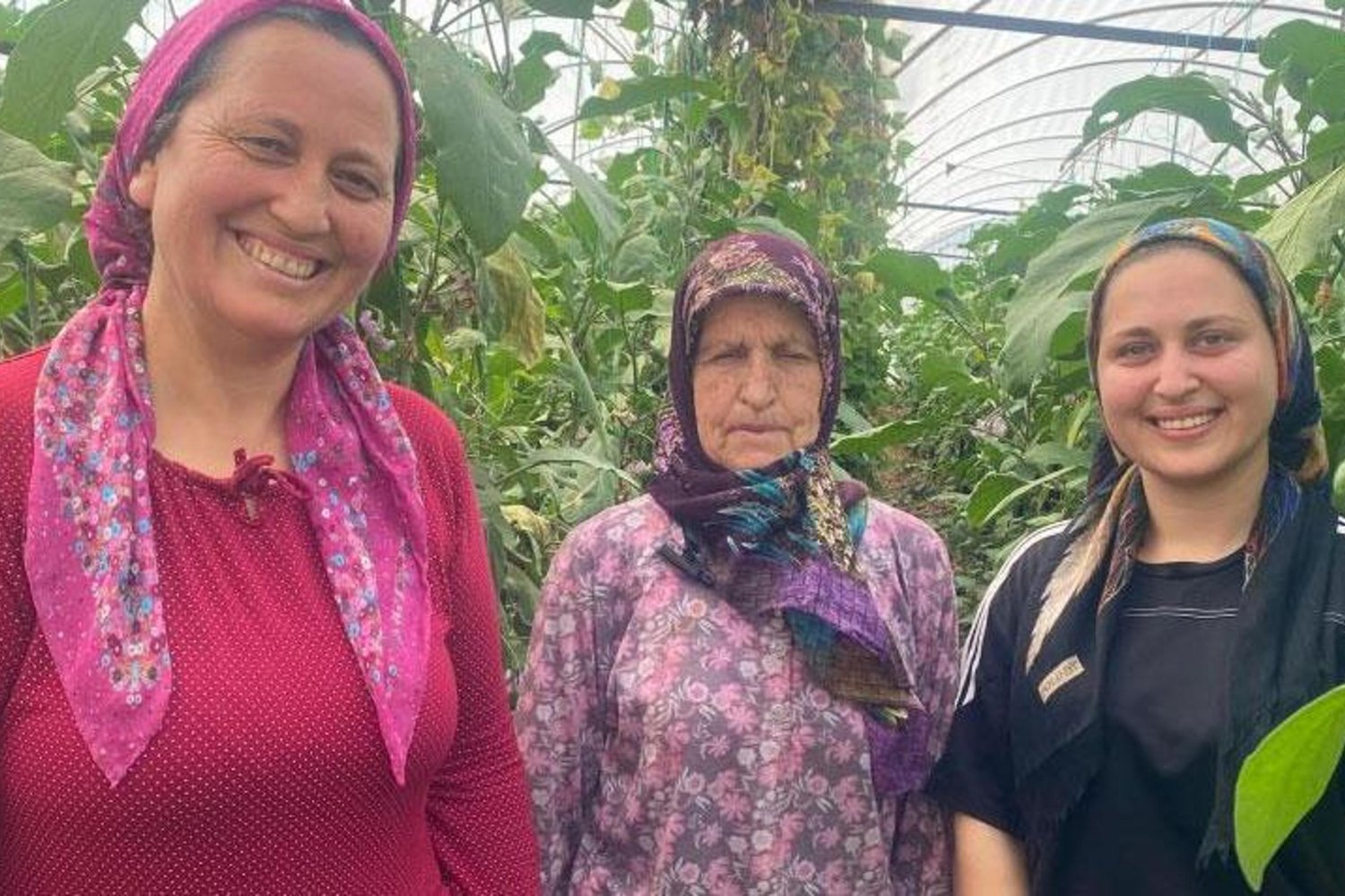 Tarımın Kalbi: Güçlü Kadın Çiftçilerin Patlıcan ve Domates Serüveni
