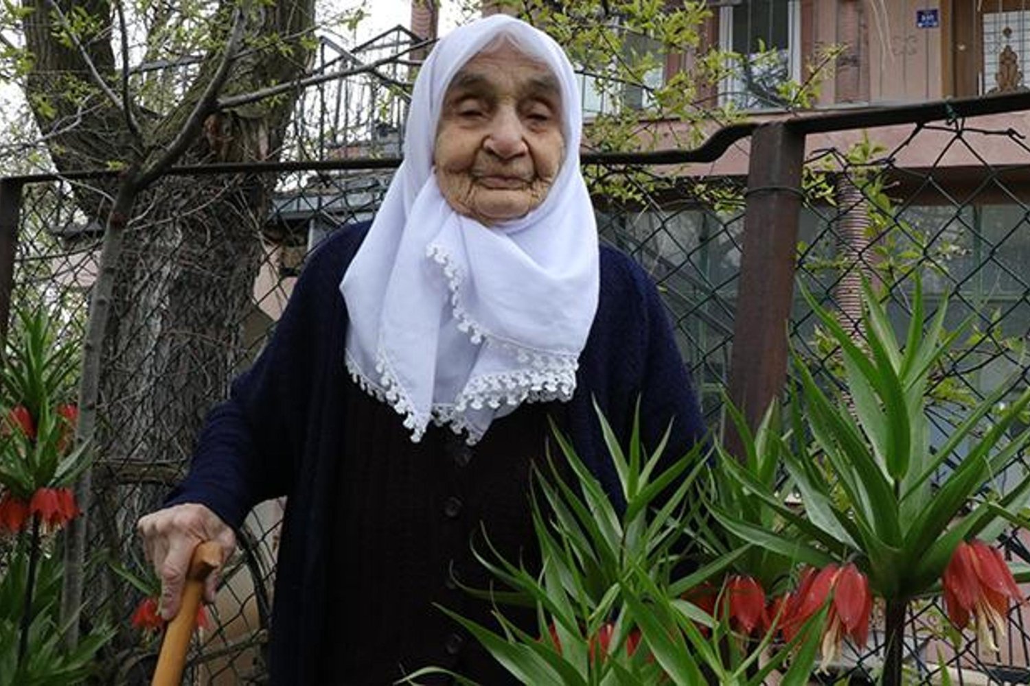 Türk Göçmenlerin Tarihinde Ters Lale: Annesinden Torunlarına Gelen Sevgi ve Anı