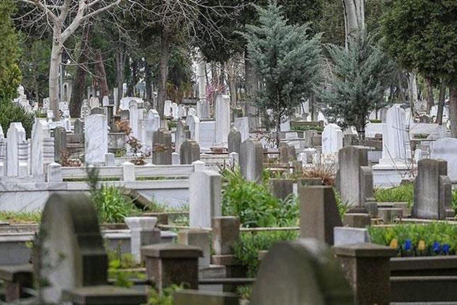 Adana'da Sahte Hoca Denetimi Bayram Öncesi Mezarları Güven vurguladı
