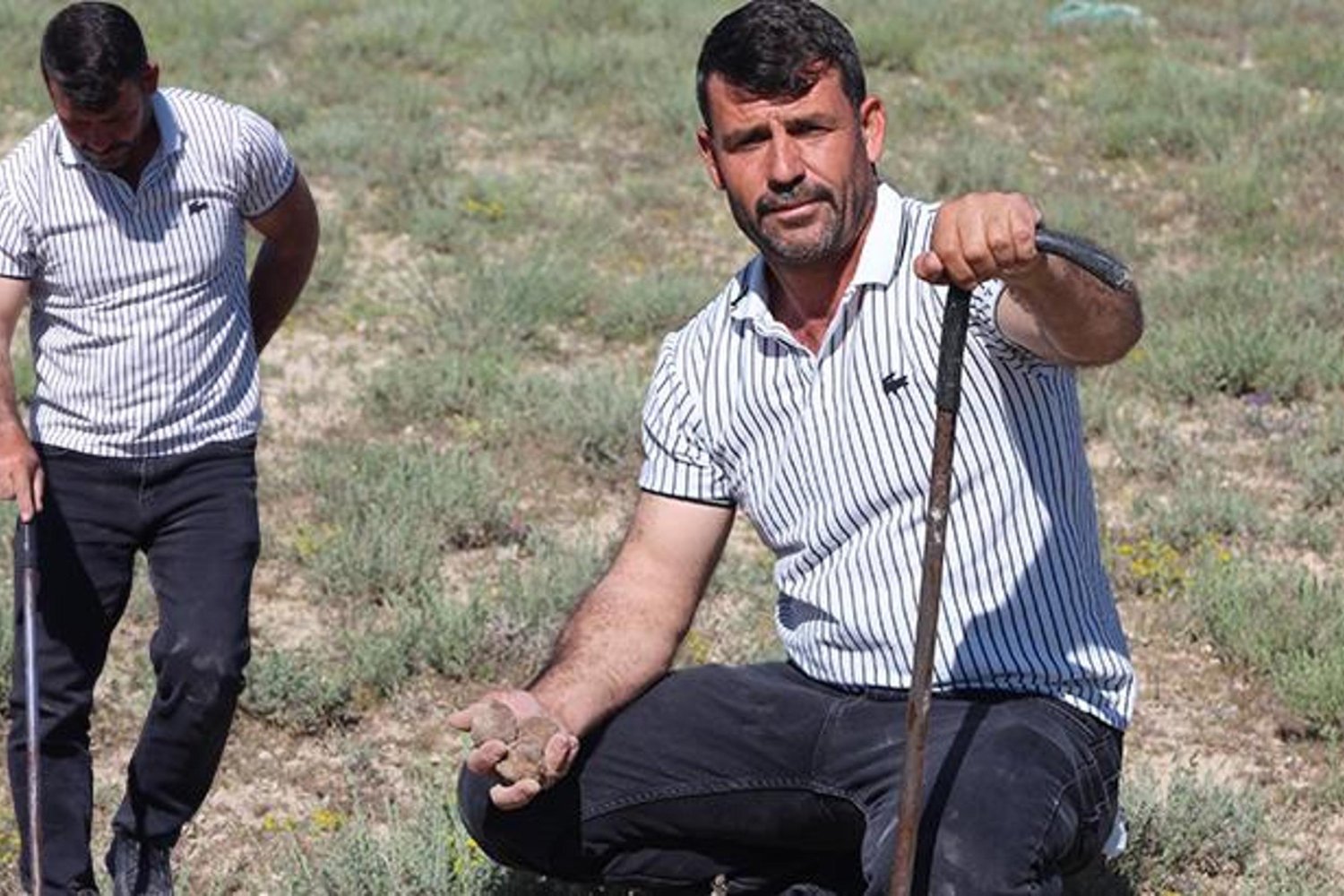 Dolaman Mantarını Toplayan 'Dolaman Kurdu'nun 25 Yıllık Serüveni