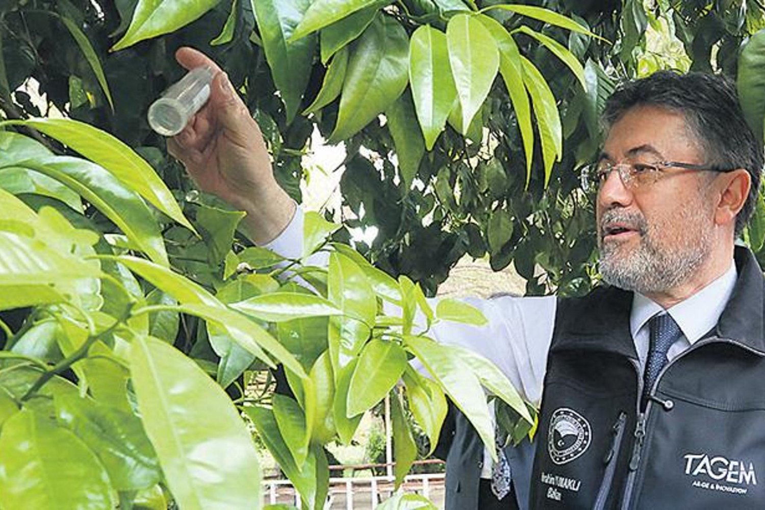 Tarımda Dev Adım: 39 Yeni Tarla Bitkisi Çeşidi Tescil Edildi!
