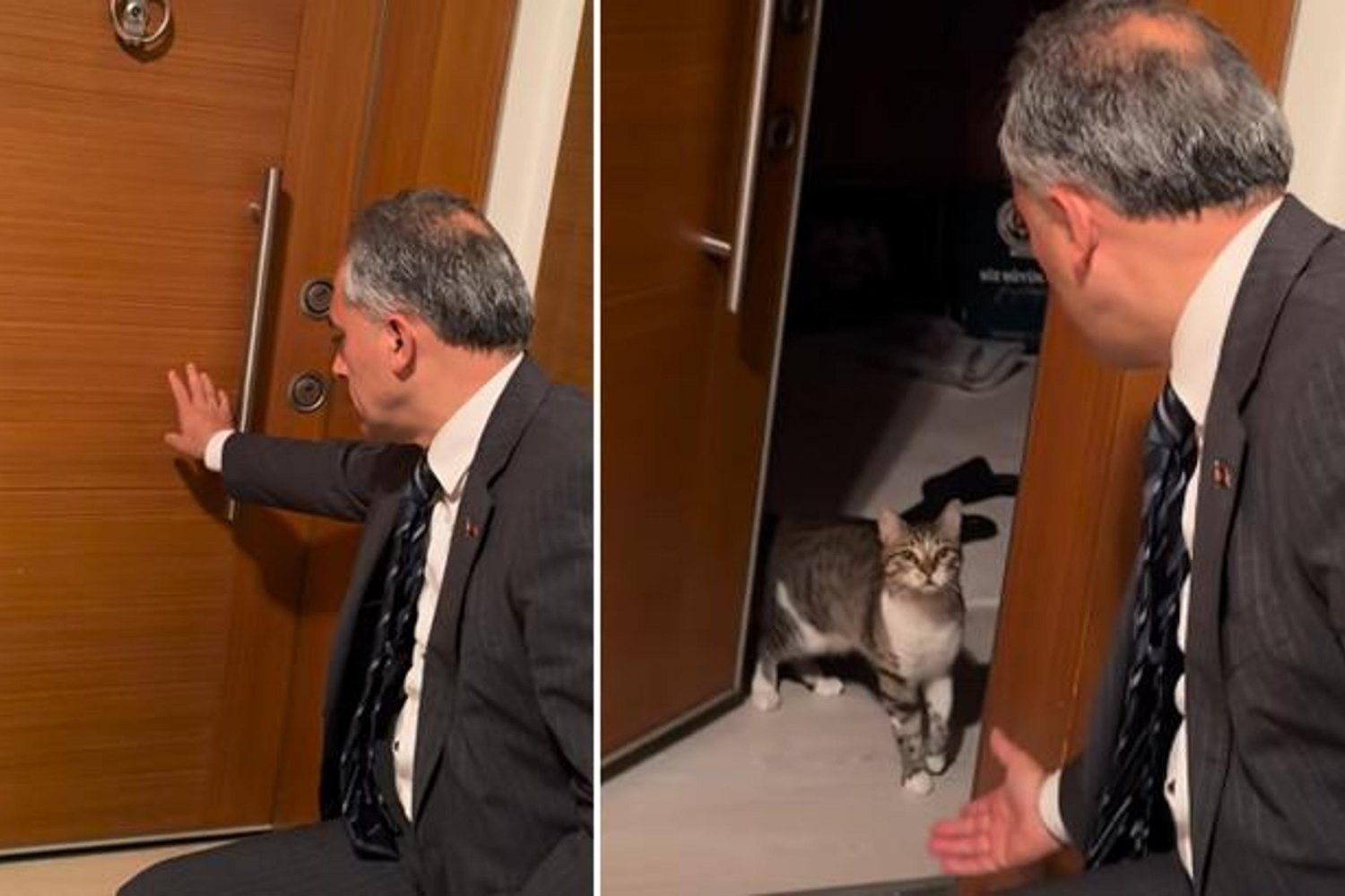 İstanbul Üniversitesi Öğrenci Kızının Sahiplendiği 'Fred' Kedisi Başkan Çenet'in Evin Neşesi Oldu