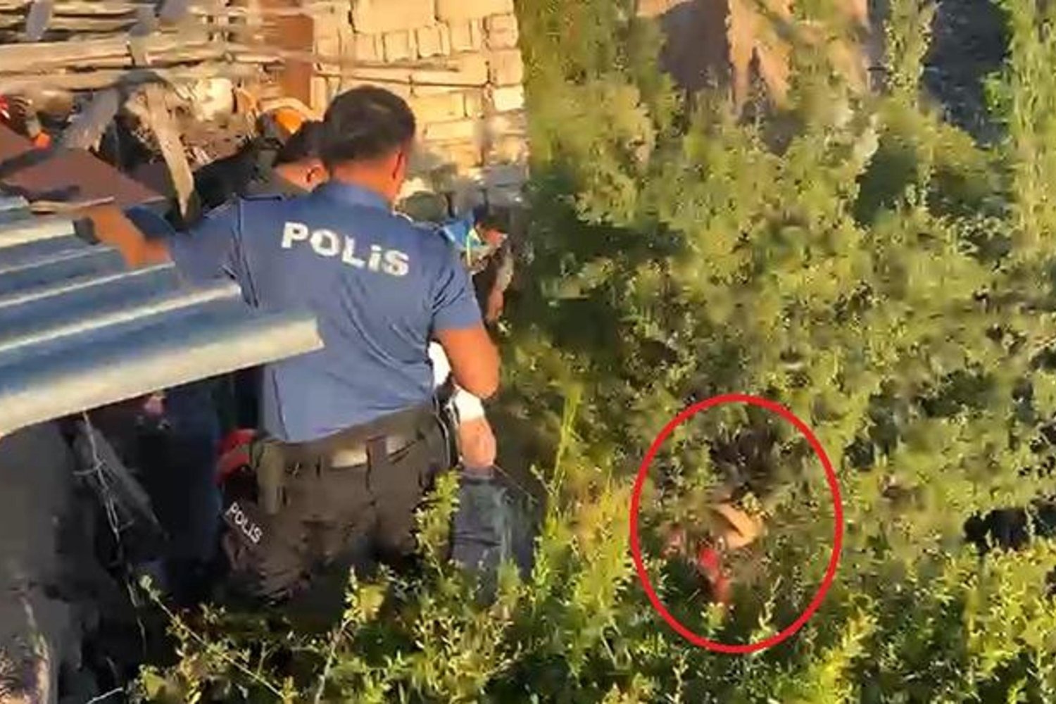 Nevşehirde Psikolojik Sorunlar Yaşayan S.B. Ağaca Asılı Kaldı!