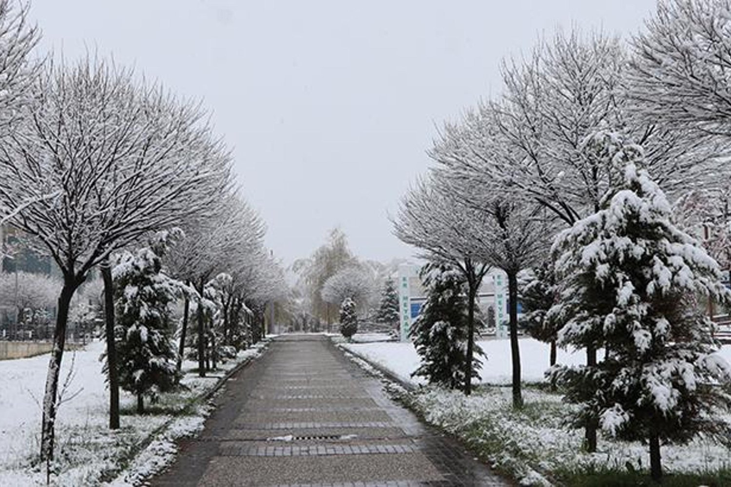 Yozgat'ta Mayıs Ayında Kar Alarmı! Kurtarma Çalışmaları ve Ankara'daki Soğuk Hava