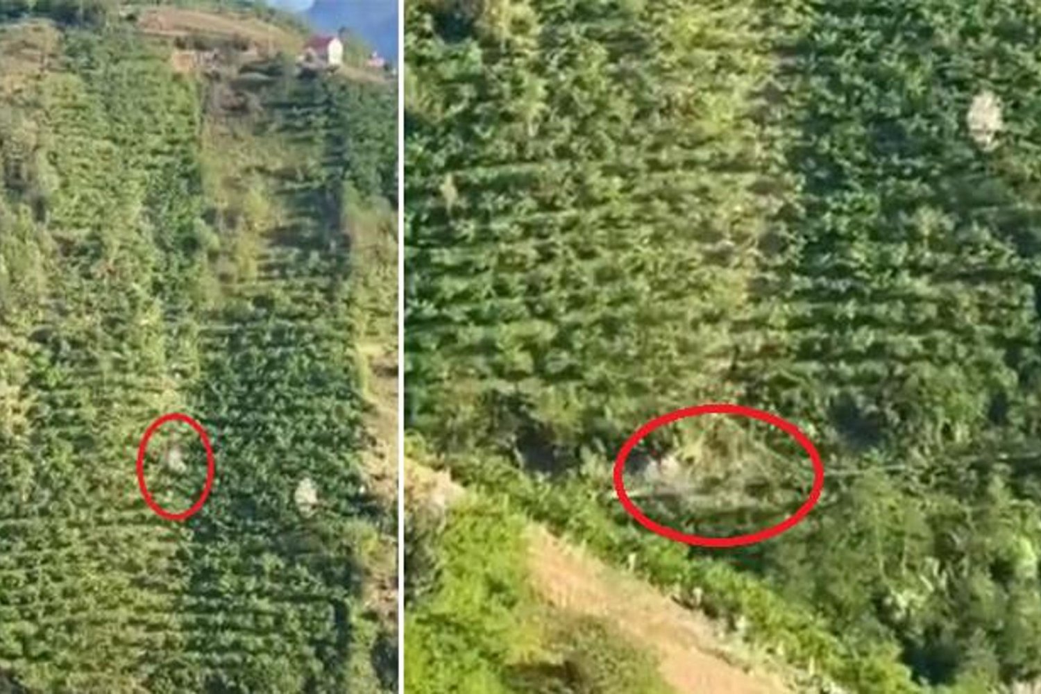 Kırmızı Koduyla Matiçe Kamyonet Kazası Çığır Açtı! Sakın Kaçırmayın