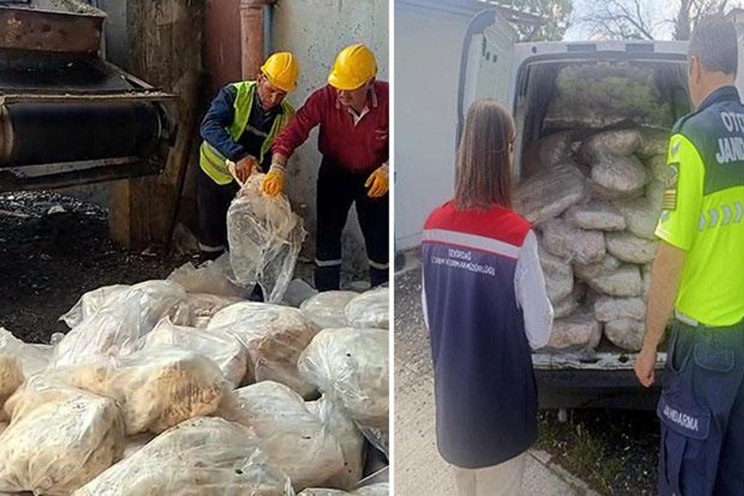 Tekirdağ'da Uyuşturucu ve Gıda Güvenliği Denetimi: 1 Ton Sakatat İmha Edildi
