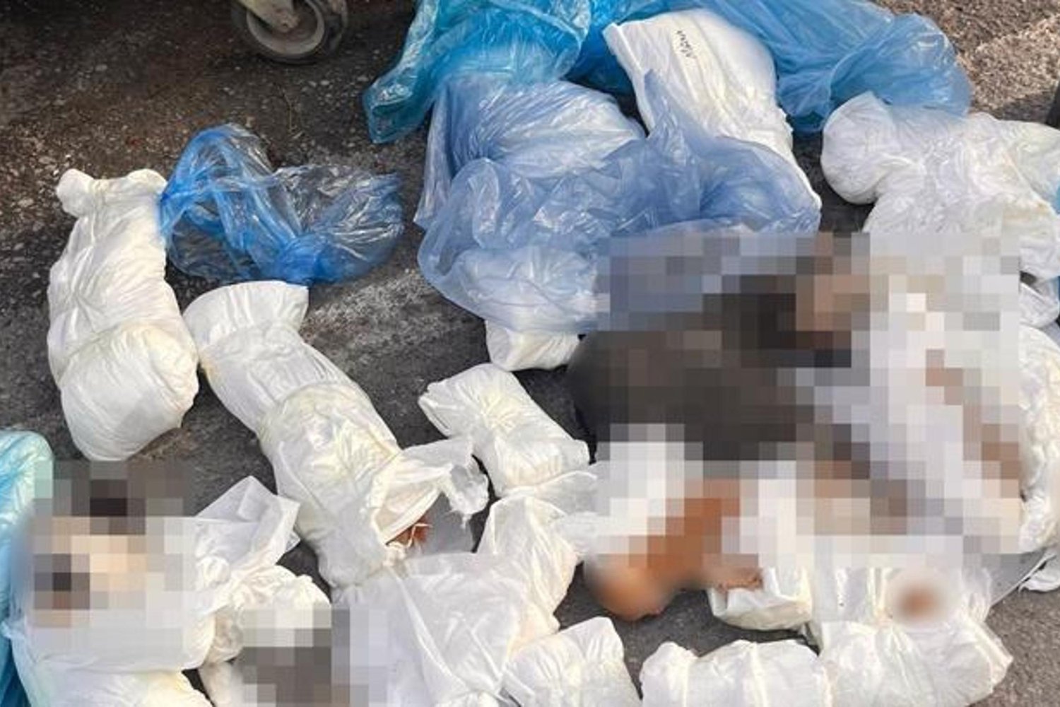 İzmir'de Dehşet Verici Olay: 33 Ölü Kedi Çöpe Atıldı!
