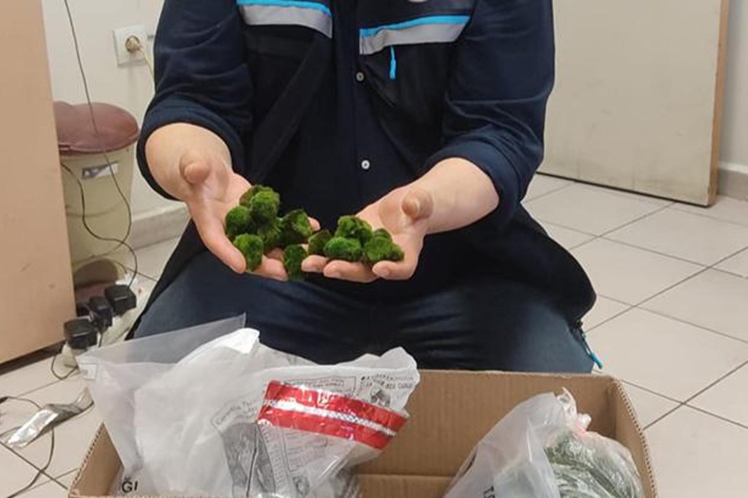 Kapıkule Sınır Kapısı'nda 8,5 Kilo Yeşil Algatoğu Yakalandı