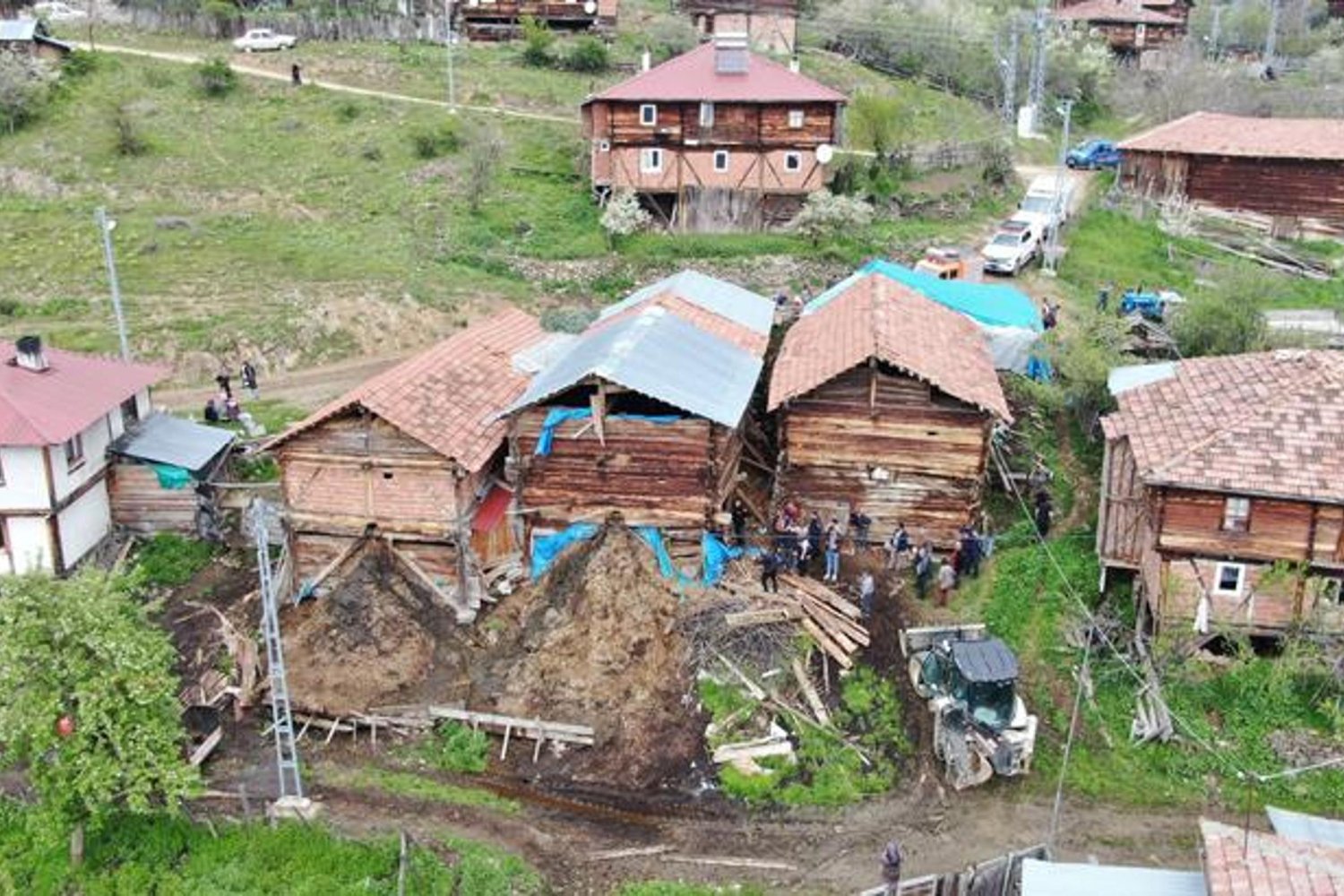 Kastamonu Taşköprü'de Ahır Çöktü: Fatma Demir Hayatını Kaybetti, Çok Sayıda Hayvan Telef Oldu