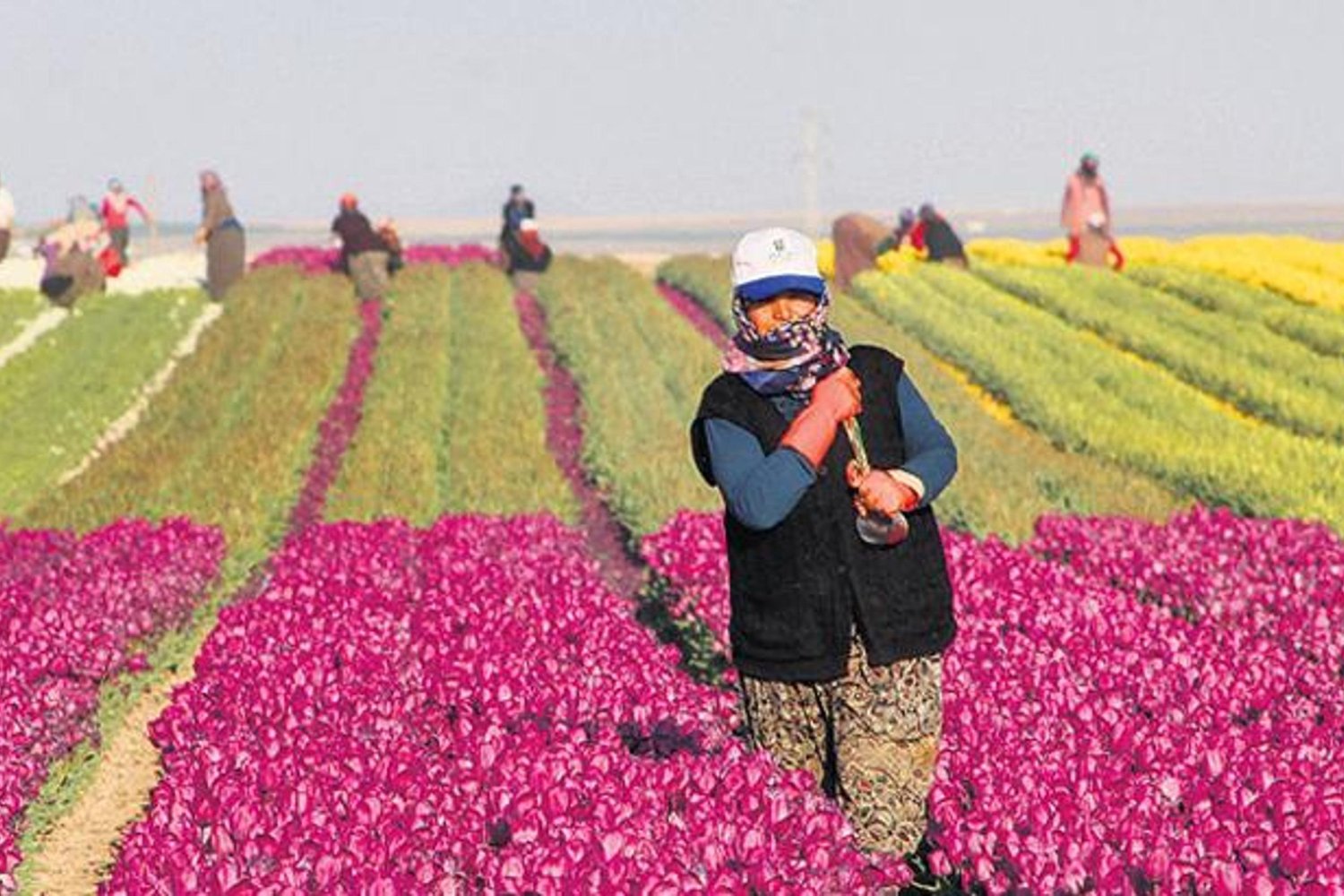 Kırsalda Büyük Destek: 10 Milyar Liralık Girişimci Bütçesi Yeniliklerle Dolu!