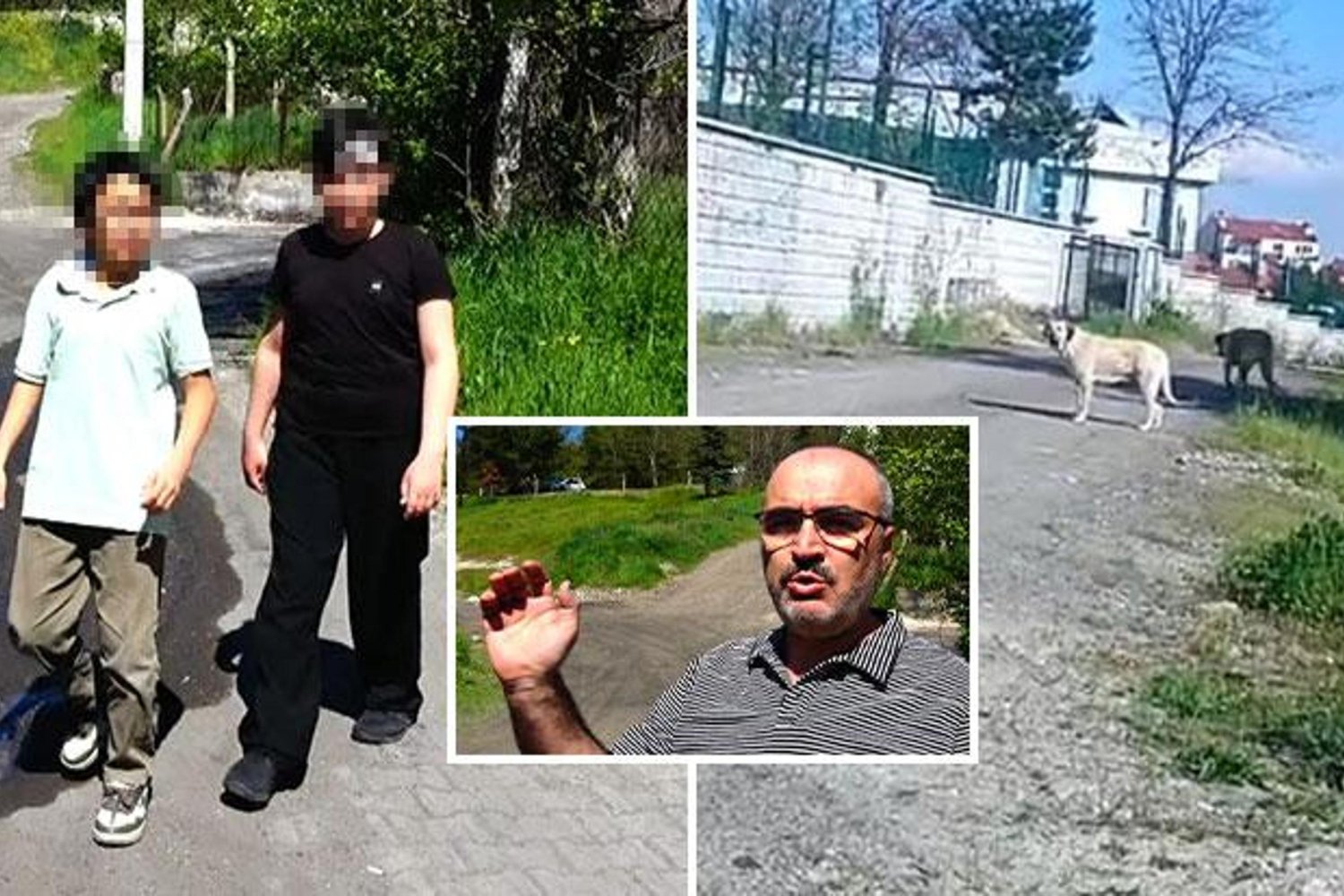 İlkokul Öğrencilerini Saldıran Sokak Köpekleri Büyük Endişe Yarattı