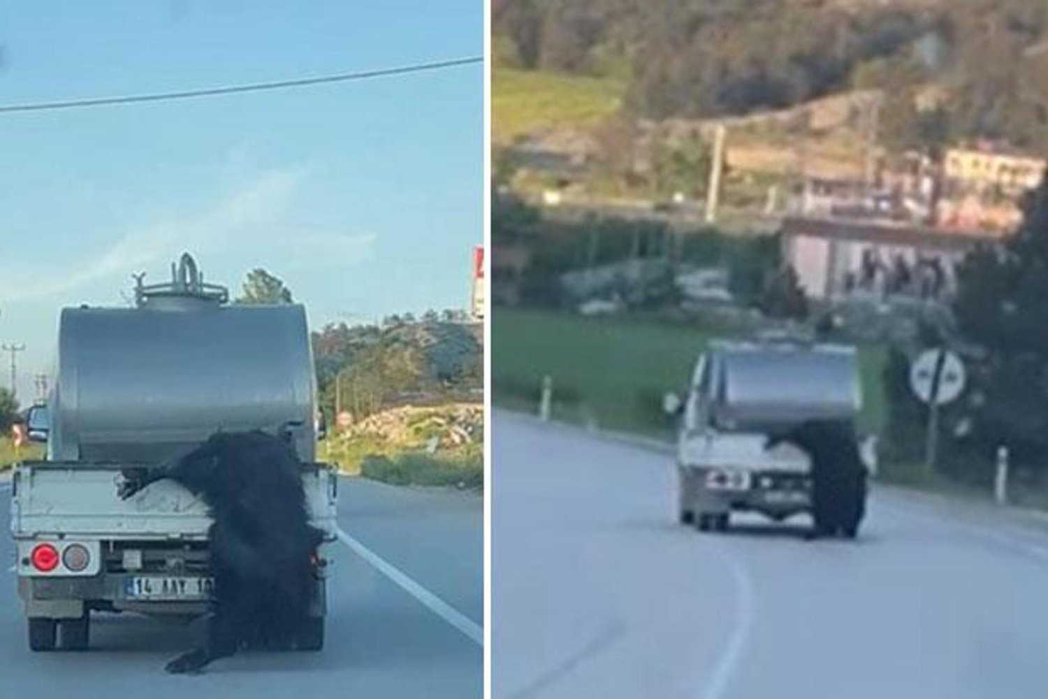 Bolu'da İhmal ve Kural Dışı Davranışlara Ceza Kesildi