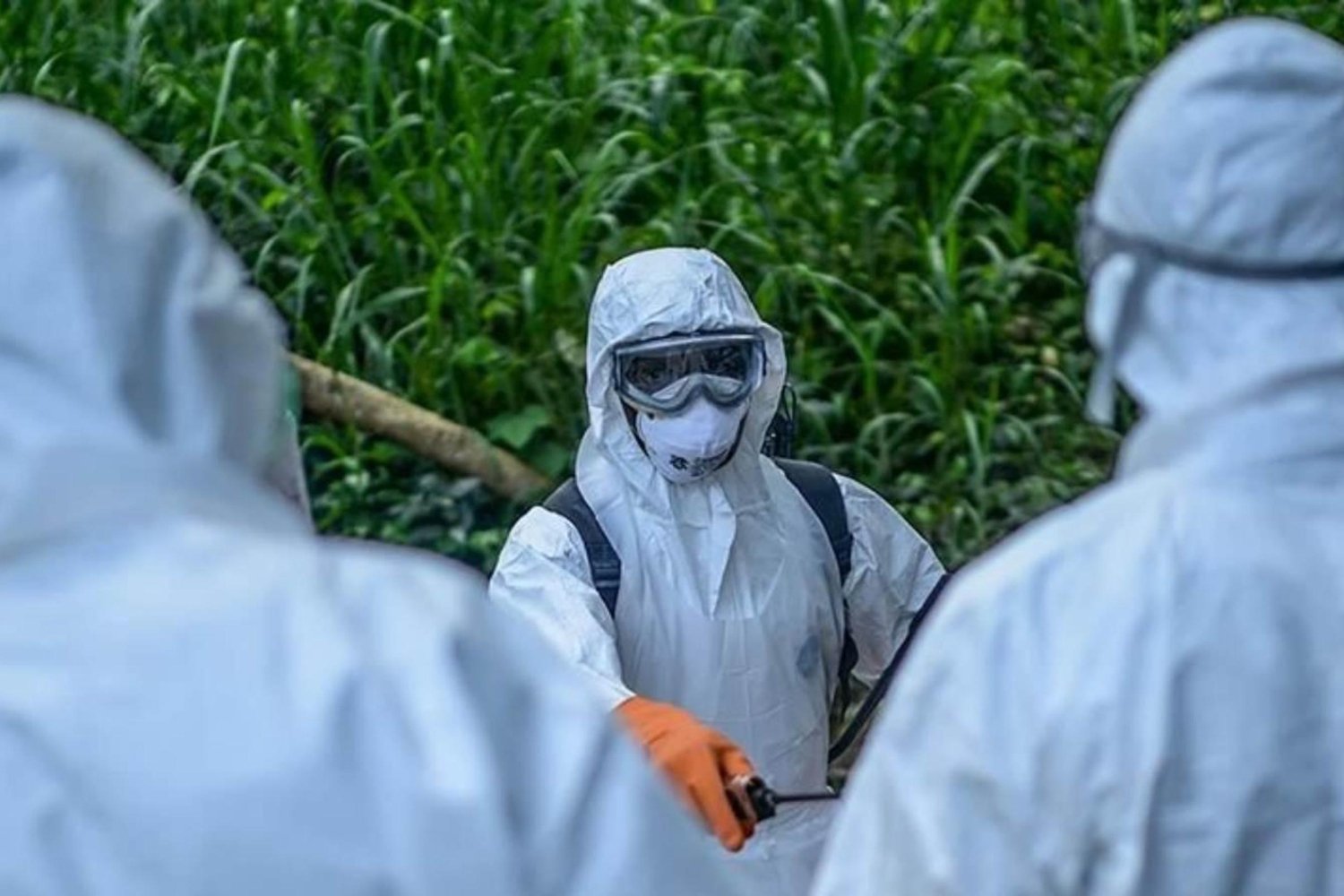 DSÖ Ebola Salgını Güncel Durumunu Paylaştı: Risk Seviyesi Yüksek