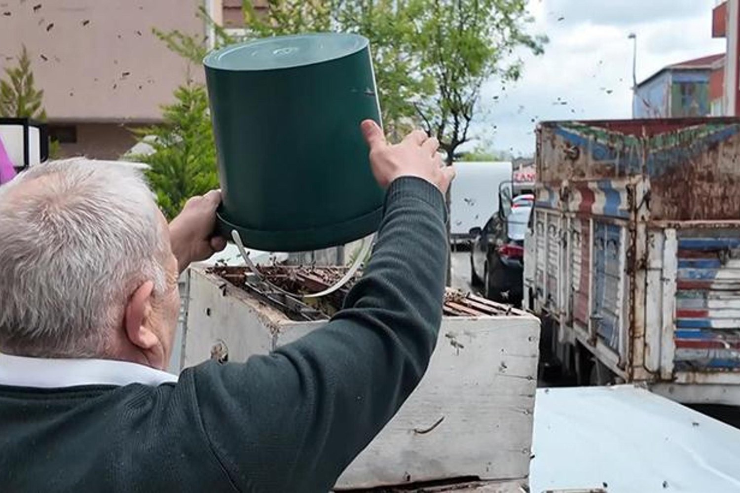 İstanbul'da Nadiren Görülen Oğul Verme Olayı Şaşırtıyor