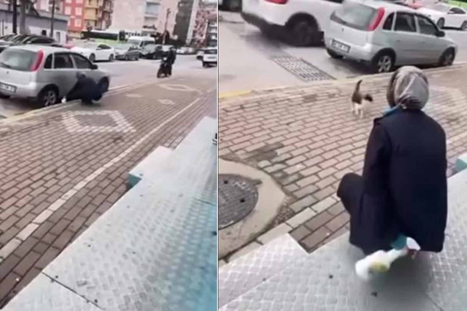 Karamürsel'de Kedi İşkencesi Kamerada Çok Gizemli Olay Gün yüzüne Çıktı