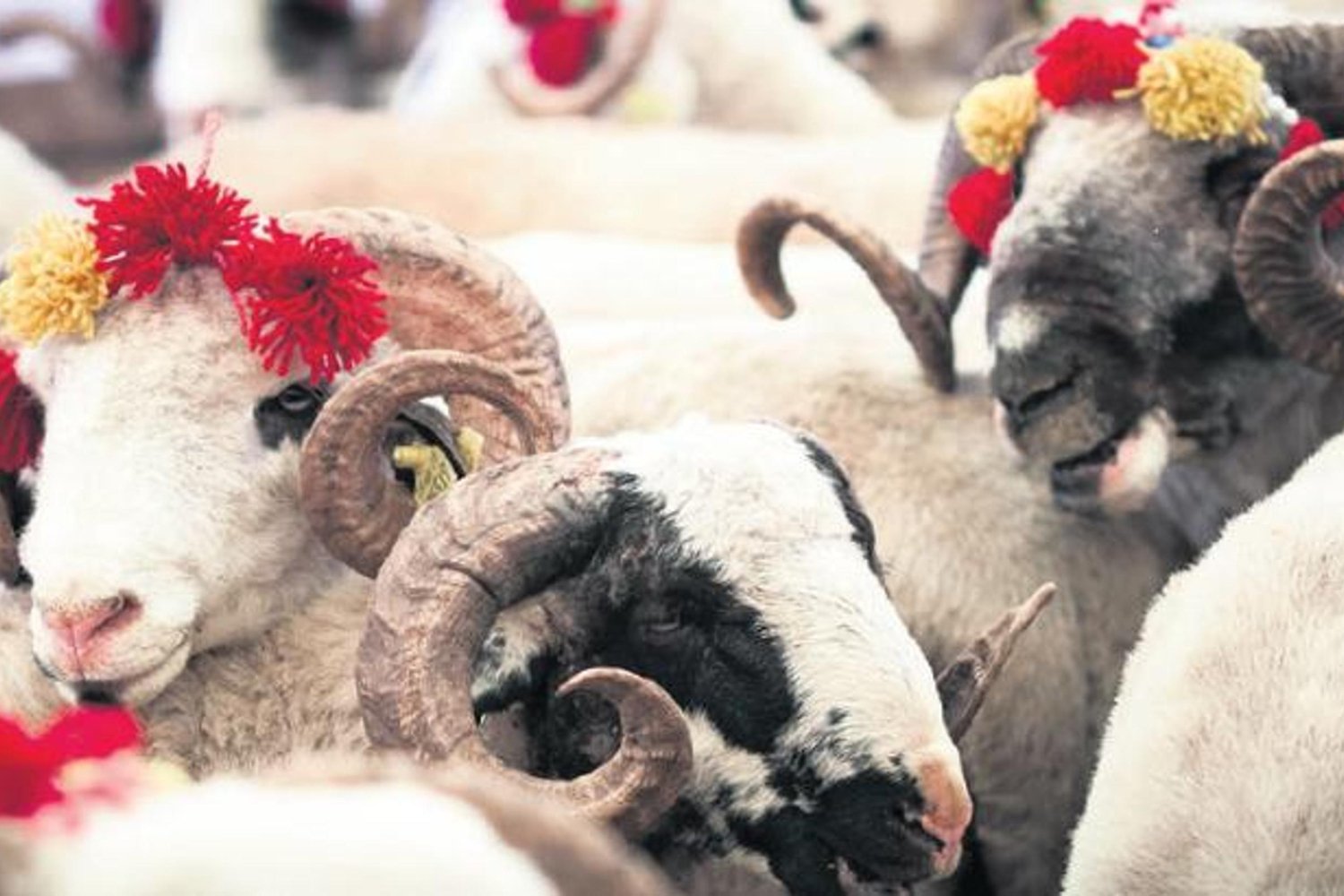 Kurallara Uymayanlara Dev Cezalar: Kesim ve Atık Denetimleri Artıyor
