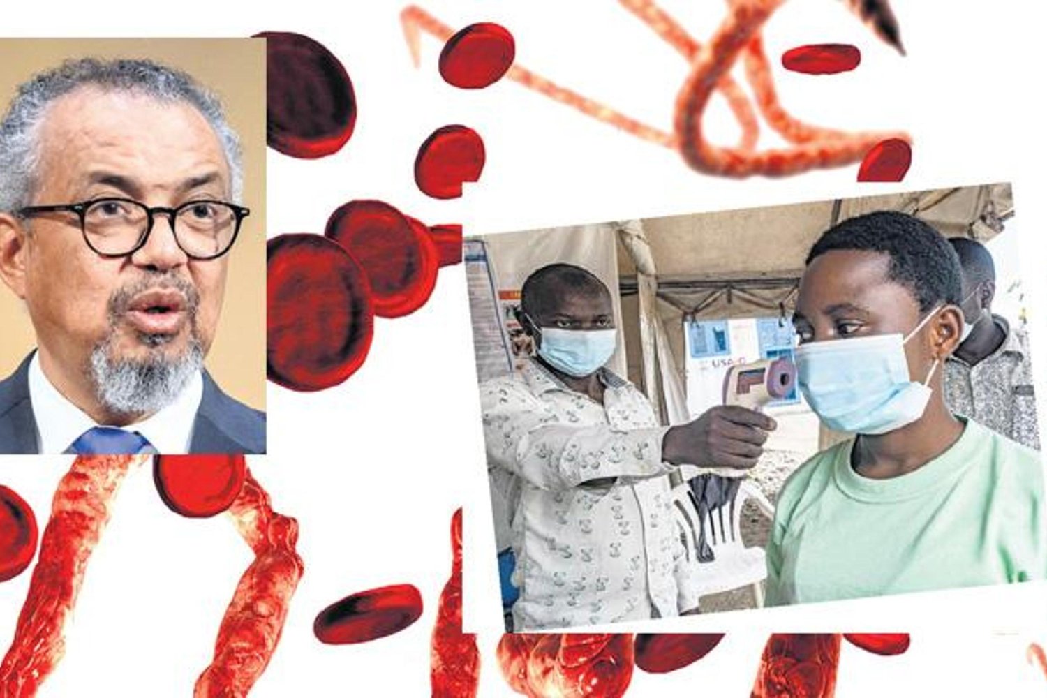 Ebola Salgını Afrika'da Korkutuyor: Kongo ve Uganda'da Vaka ve Ölüm Sayısı Artarken DSÖ Endişeli