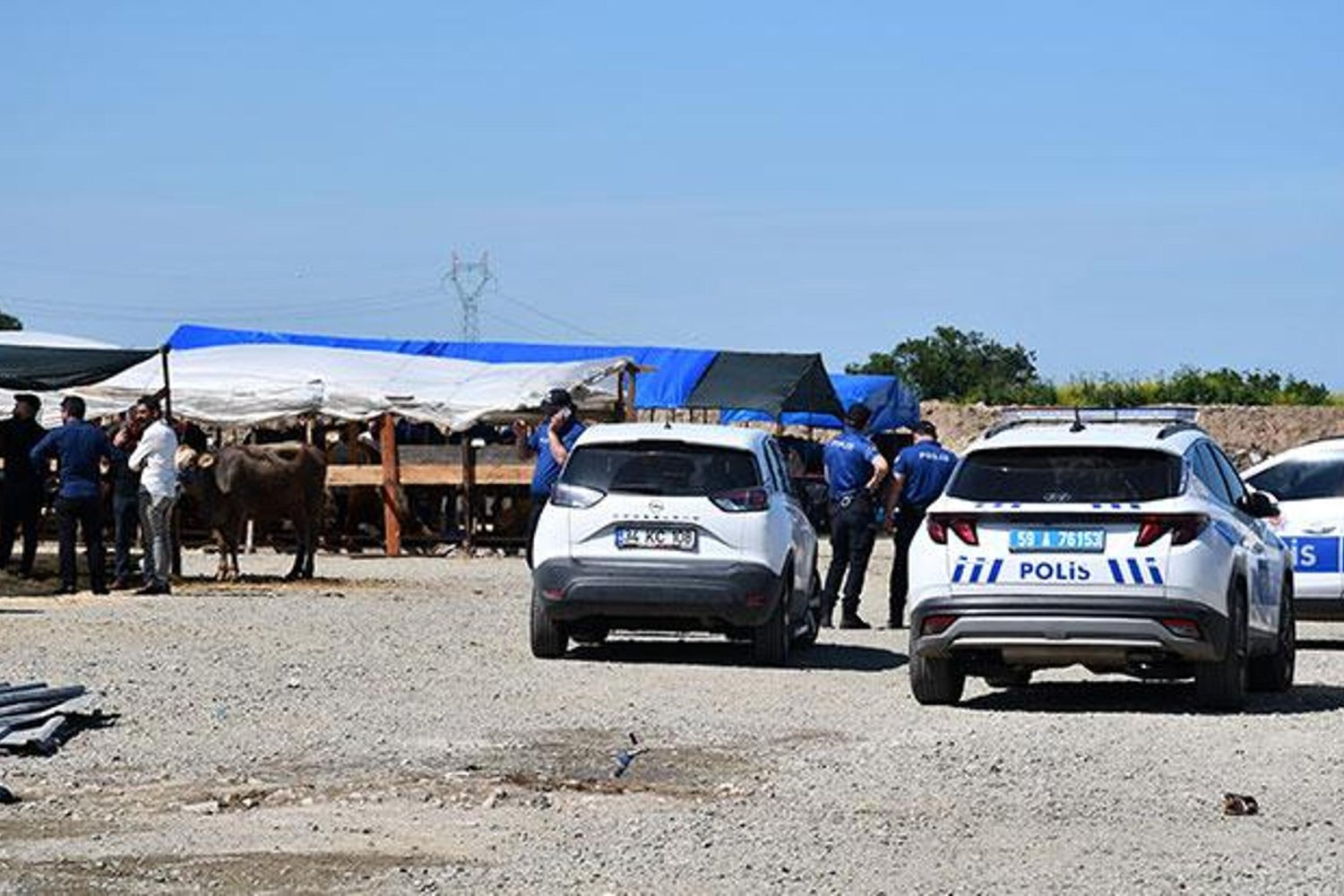 Tekirdağ'da Kurban Satış Alanında Kanlı Beltir, 5 Yaralı