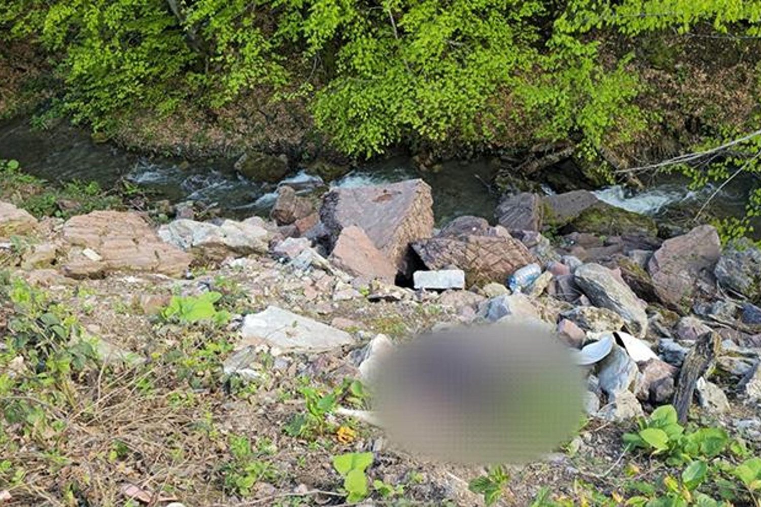 Düzce'de Bıçaklı Cinayet: 1 Haftadır Mağarada Mahsur Kalan Beş Kişi Kurtarıldı