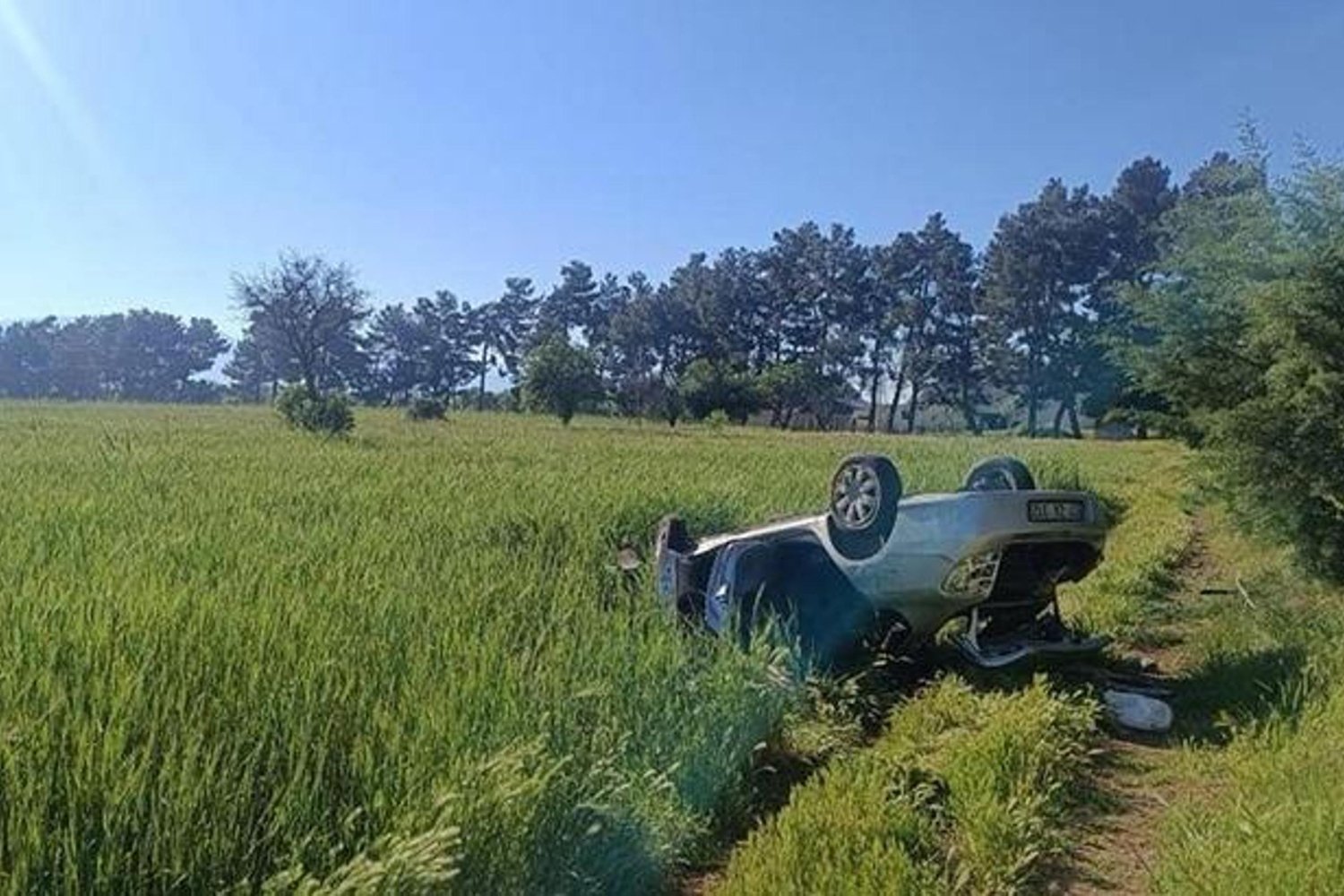 Köpeğe Çarpmayın Derken Kaza Yaptı: Acıpayam'da Trafik Faciası