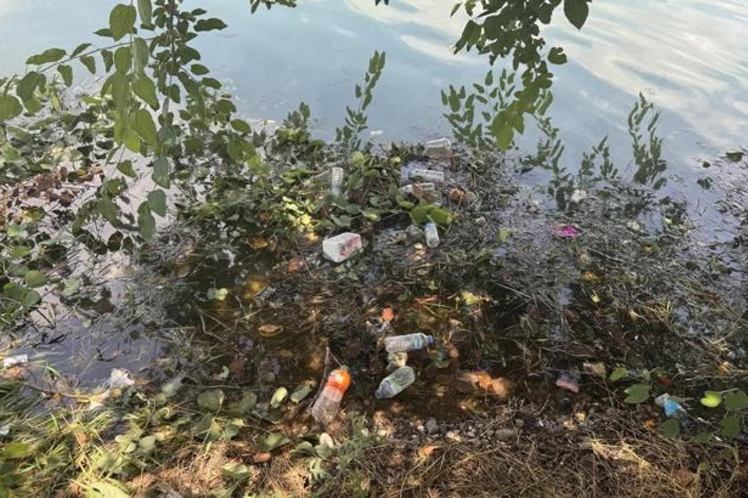 Adana Seyhan Nehri Kirliliği Turistleri Üzüyor! Belediyeye Tepki Yağdı