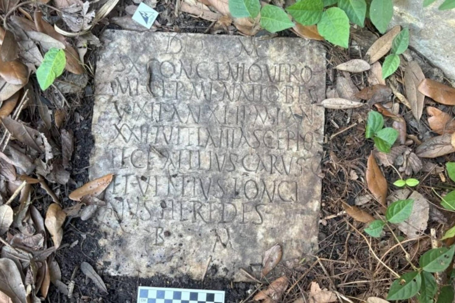 New Orleans'ta 2000 Yıllık Roma Mezar Steli Keşfi: Savaş Diplerine Gizlenmiş Değer