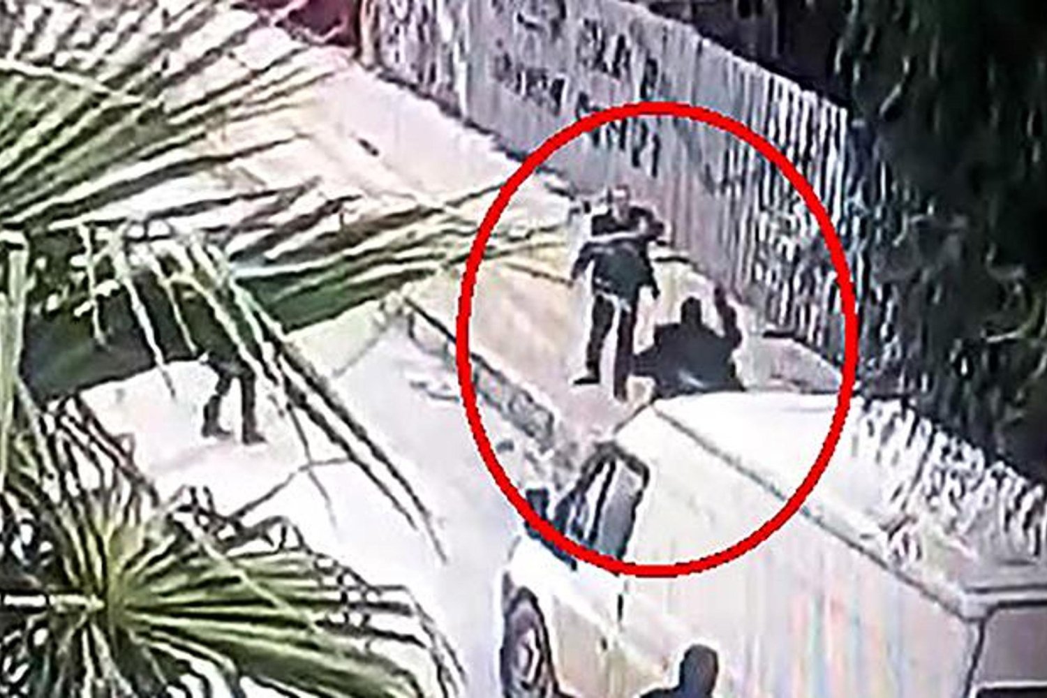 Başına Kaldırım Taşıyla Vurarak Ölümüne Neden Olan Zihinsel Engelli Altında Mahkeme Tahliye Kararı