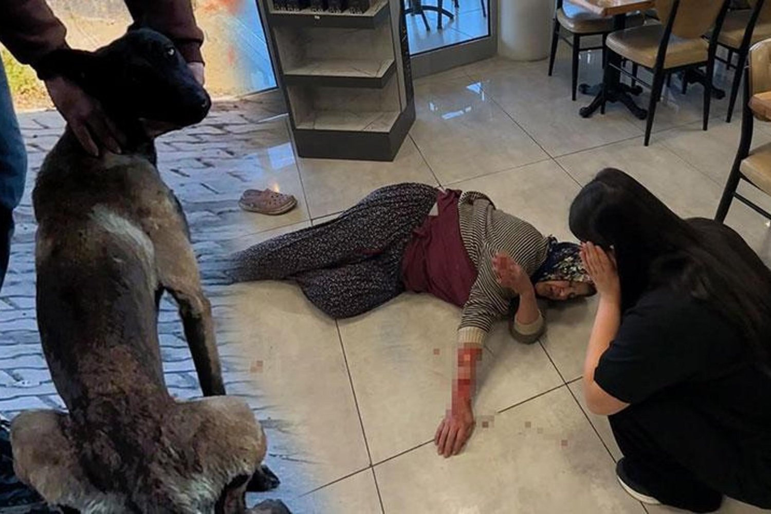 Afyonkarahisar'da Köpek Saldırısı Can Aldı: Kadın Yaralandı