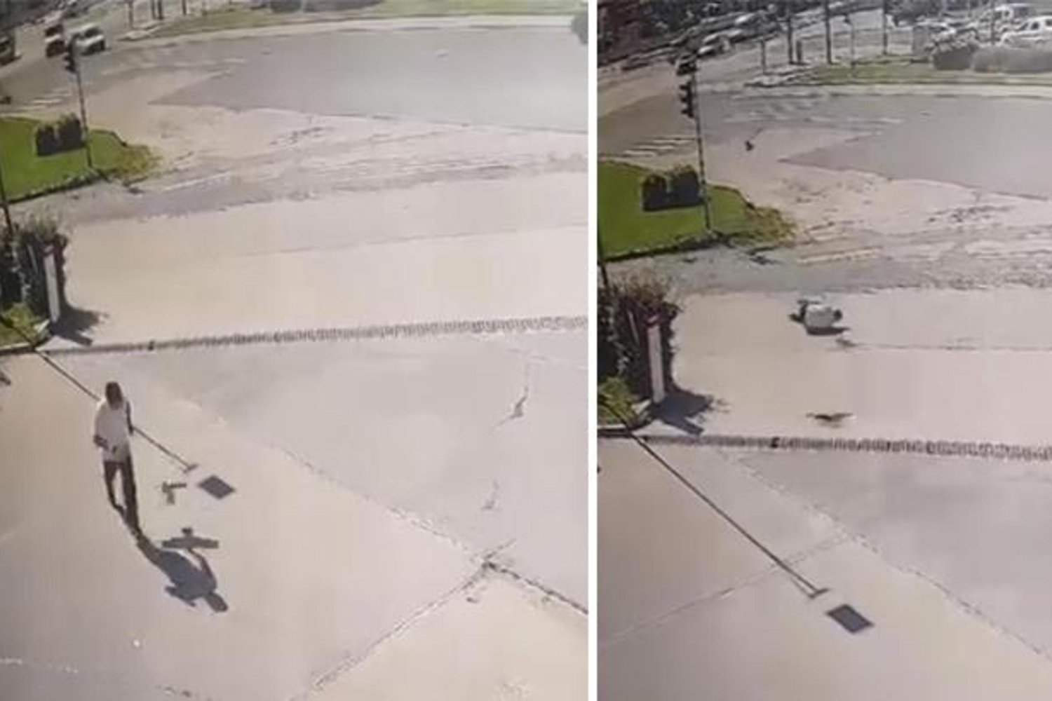 Elazığ’da Karganın Saldırısında Kaçarken Taklalar Atan Vatandaş Viral Oldu