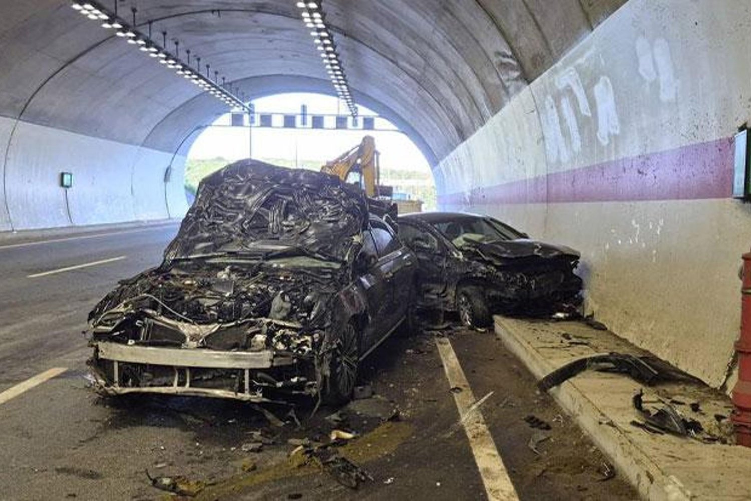 İstanbul'da Şile-Ağva Yolunda Başıboş İnekler Kazaya Neden Oldu