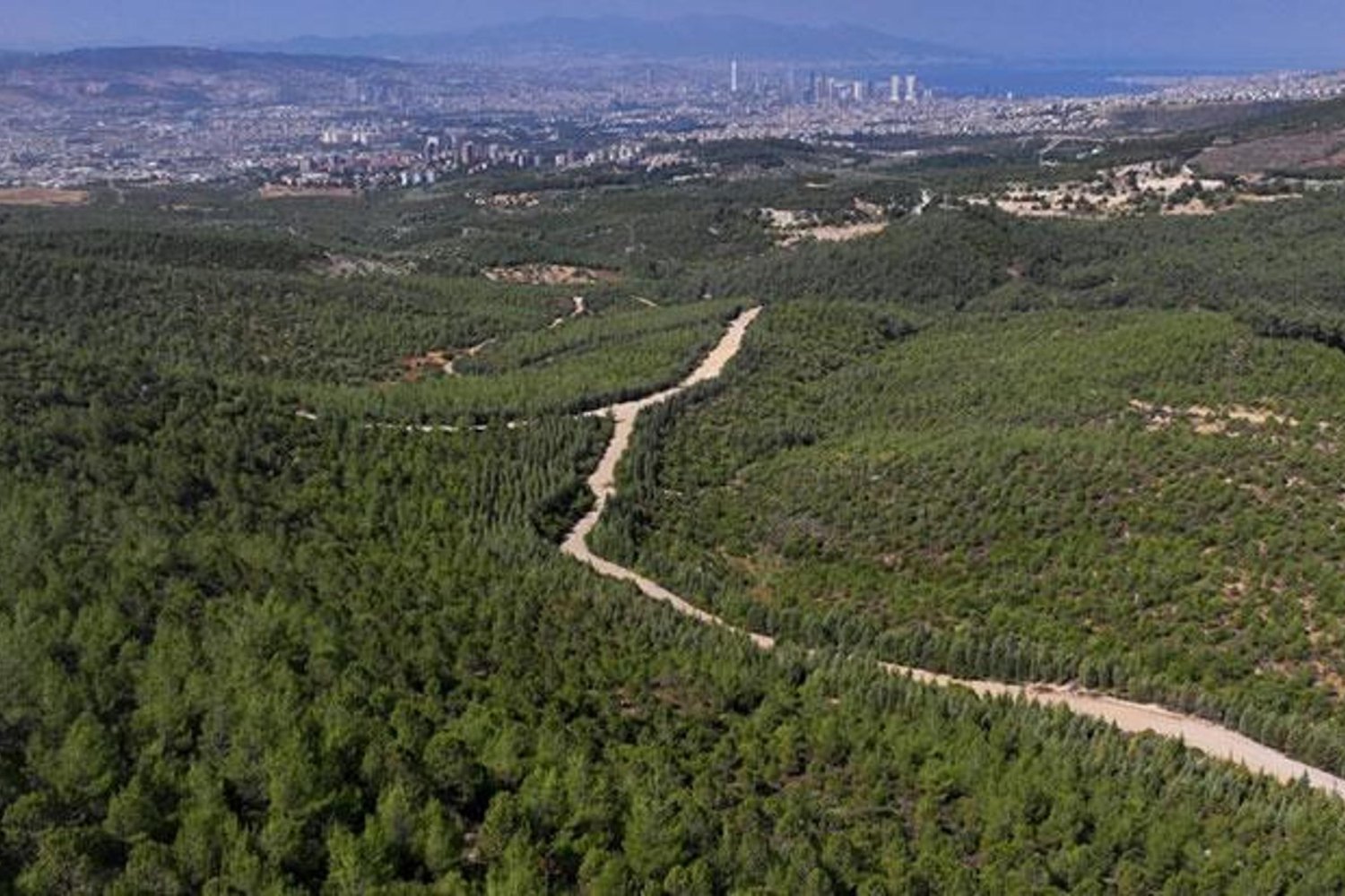 İzmir'de Orman Yangınlarıyla Mücadele Dehşet Verici Yasaklar Getirildi