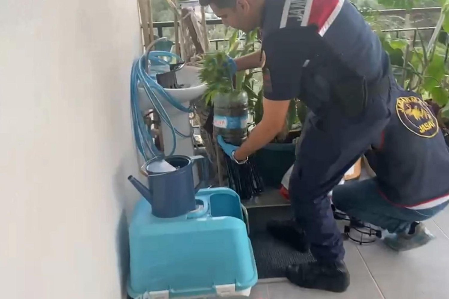 İçişleri Bakanlığından Uyuşturucu Operasyonu: 341 Şüpheli Gözaltında