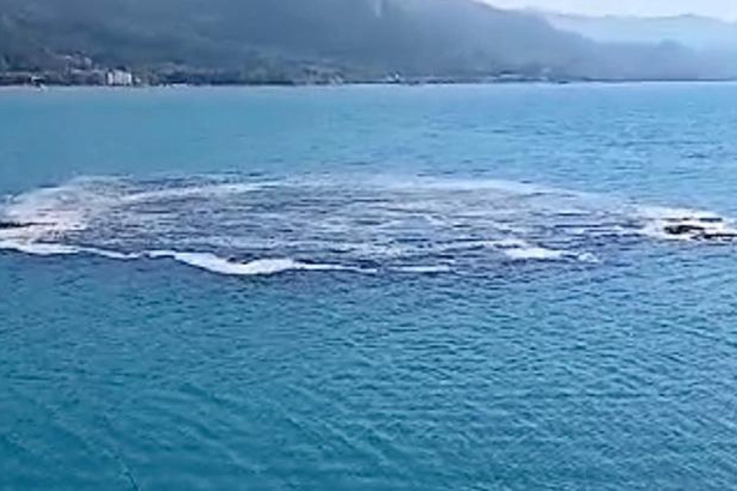 Denizde Anormal Kabarma ve Kötü Koku Olayı Kasırga Gibi Patladı!