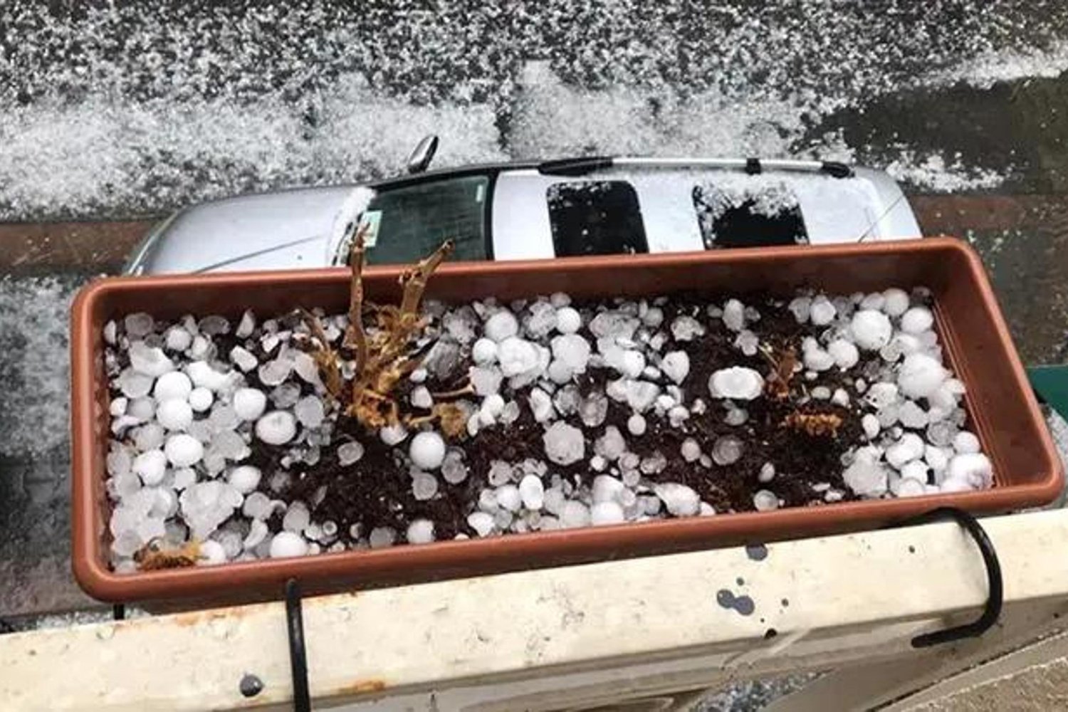 Meteoroloji Uyarısı Ardahan ve Ağrı'da Sağanak ve Dolu Yağışlarına Neden Oldu