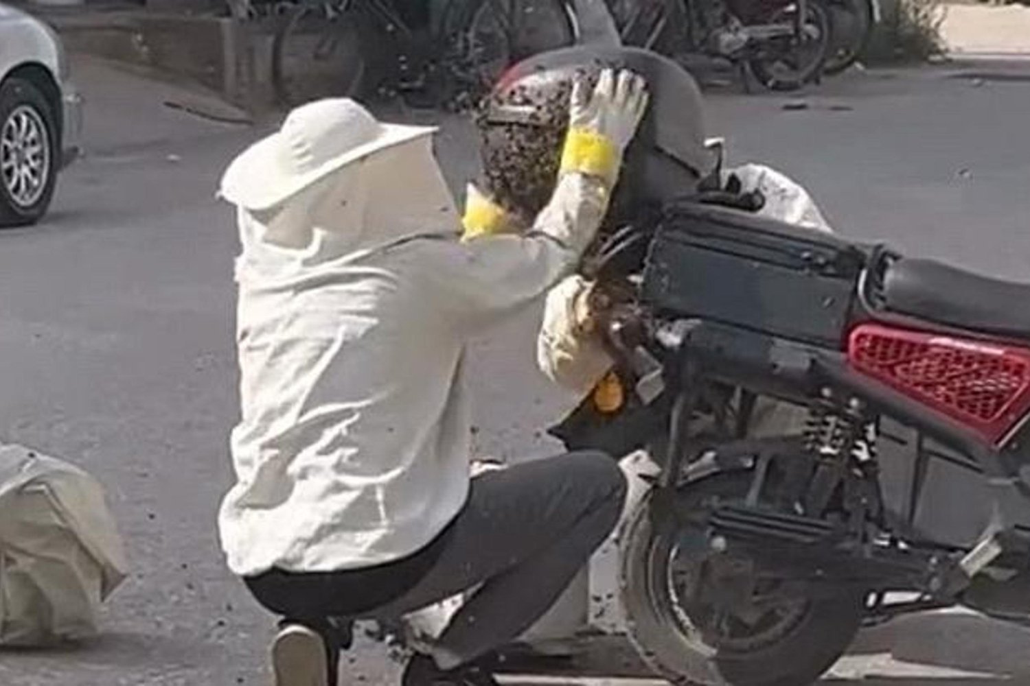 İnegöl’de Arı Sürprizi! Kraliçe ve İşçi Arılar Motosiklet Üzerinde Şaşkına Çevirdi