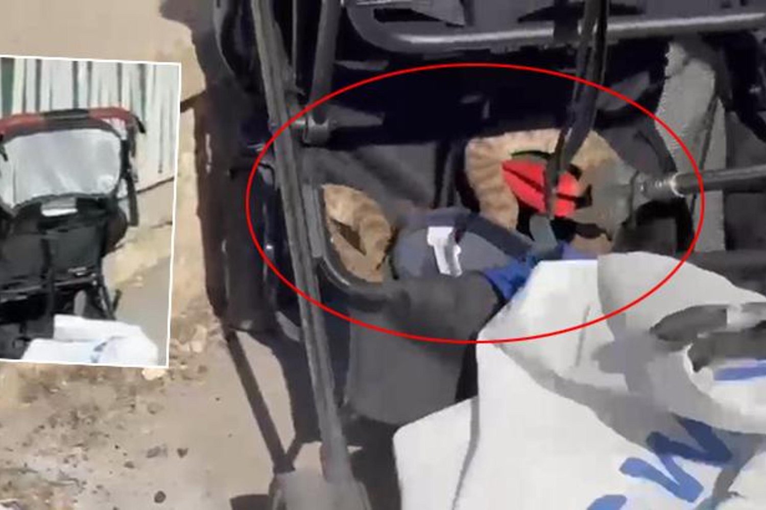 GAP 3. Etap'ta Yılan Şoku: Bebek Arabasına Düşen Yılan Vatandaşları Şaşırttı