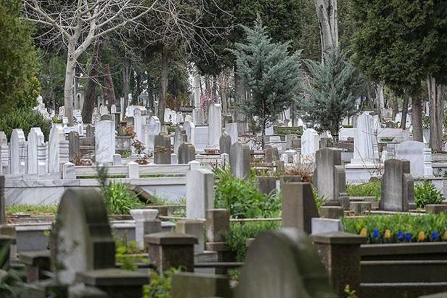 Türkiye'nin Ölüm Haritası 2025: Vaka Sayıları ve İl İstatistikleri