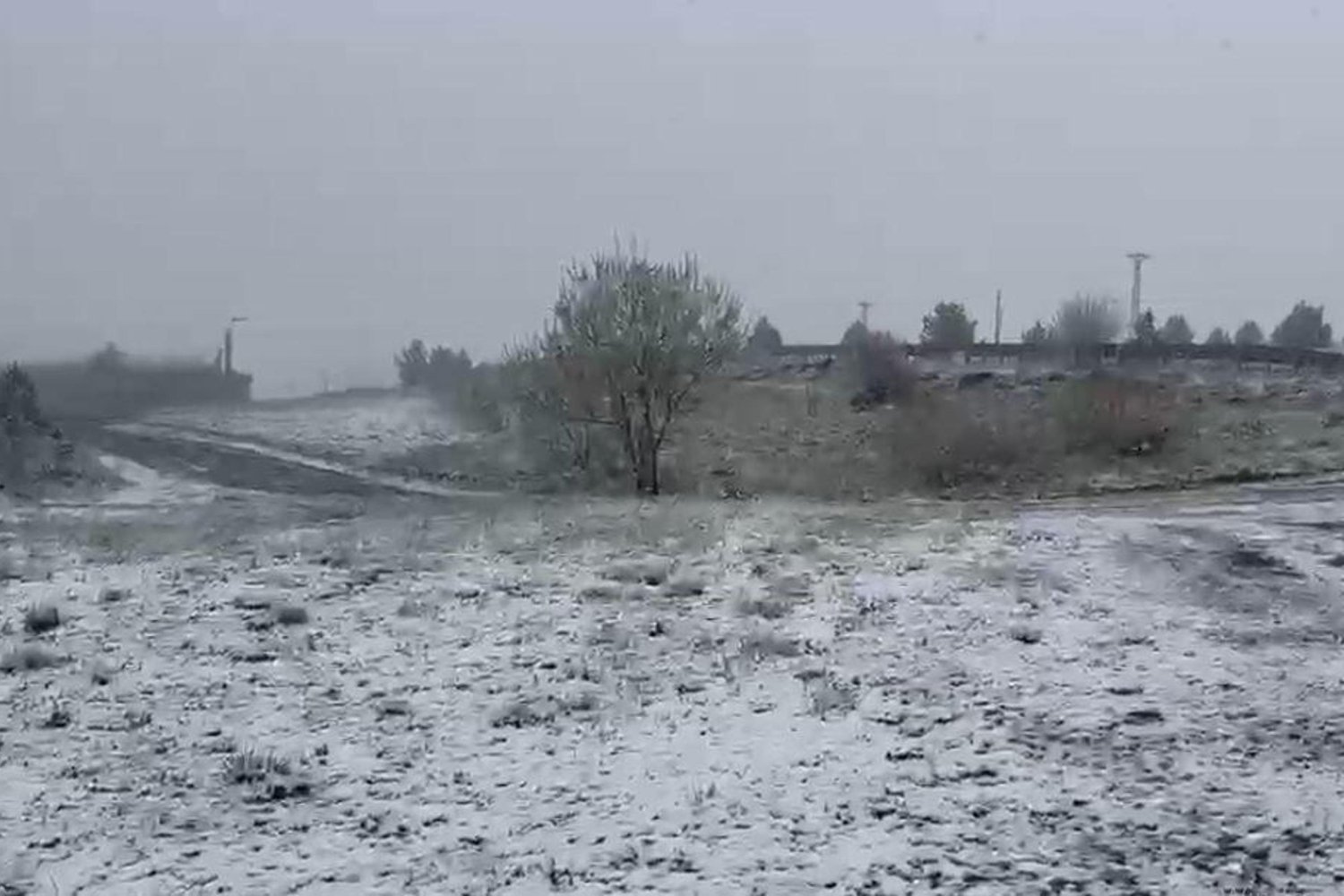 Haziran Ayında Ardahan Posof'ta Görülen Sürpriz Kar Yağışı