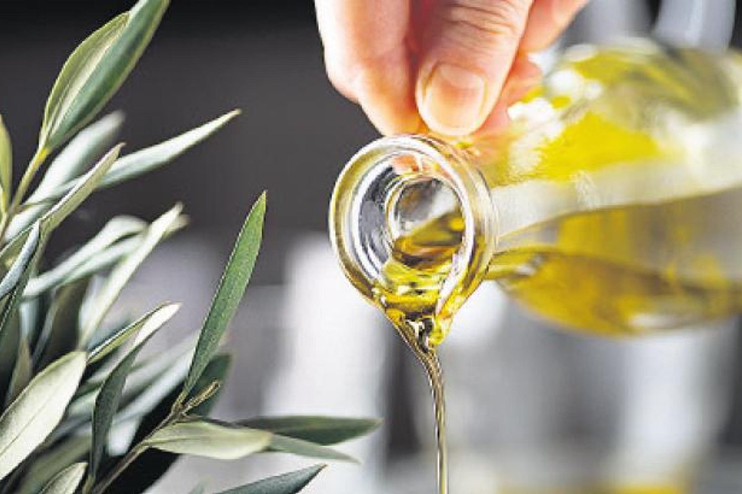 İklim Değişikliği Zeytin Tarımını Nasıl Etkiliyor? Uyum ve Verim Analizi